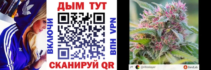 Бошки Шишки планчик  Кораблино 